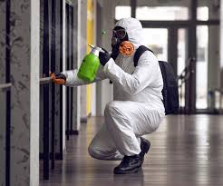 Why You Should Choose Our Mold Remediation Services in Niagara University, NY